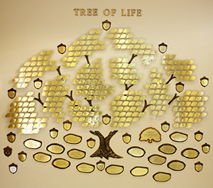 Picture of "The Tree of Life donated by The TRH Auxiliary Volunteers